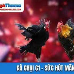 ga da moc bai hom nay