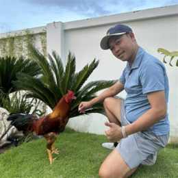 gà duyên ti đã