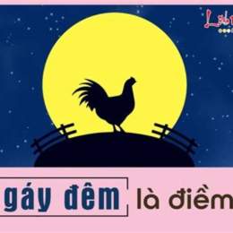 gà là gà đã gáy