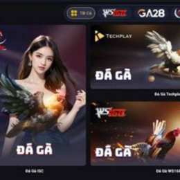 gà nhà đá nhau