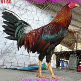 gà nòi đá tiền lớn 7789bet.top
