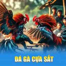 game da ga cua sat