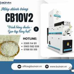 gậy đánh bóng chày