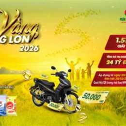 giá vàng việt nam 2026 xu hướng gần đây