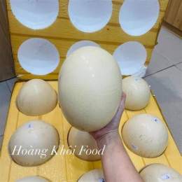 giao diện app 1 trứng đà điểu bằng bao nhiêu trứng gà