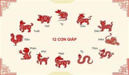 giao diện app 12 con giáp đá gà