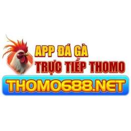 giao diện app app đá gà thomo uy tín