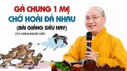 giao diện app bài hát gà chung một mẹ chớ hoài đá nhau