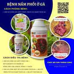 giao diện app cách trị bệnh phổi cho gà đá
