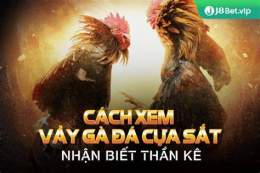 giao diện app cách xem vảy gà đá cựa sat