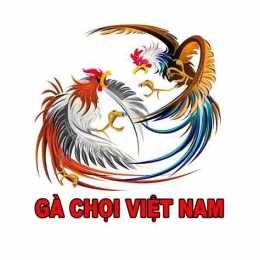 giao diện app casino 999 đá gà trực tiếp