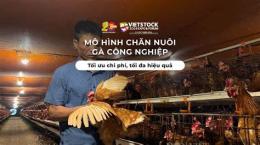 giao diện app chăn nuôi gà công nghiệp đã phát triển mạnh ở