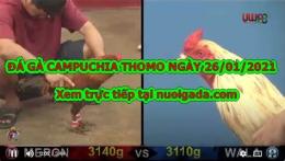 giao diện app clip gà 9 cựa đá