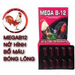 giao diện app công dụng b12 cho gà đá