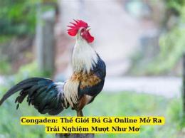 giao diện app congaden đá gà trực tiếp thomo
