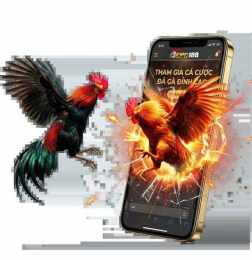 giao diện app cpc đá gà