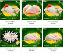 giao diện app cung cấp da gà đông lạnh