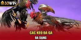 giao diện app đá gà 33win