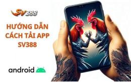 giao diện app đá gà 6788