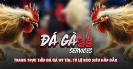 giao diện app da ga 88 c com