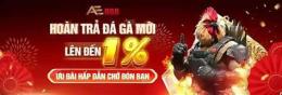giao diện app dá gà ae88