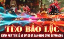 giao diện app đa gà bao sting