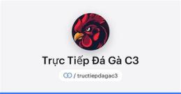 giao diện app đá gà c3 5/8