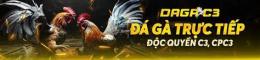 giao diện app đá gà c3 trang 21
