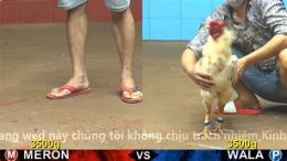 giao diện app đá gà c4 ngày 23 7