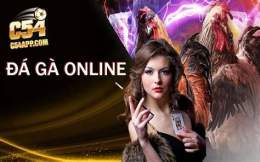giao diện app đá gà c54