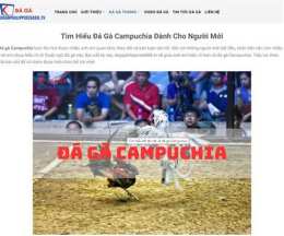 giao diện app da ga campuchia 2019