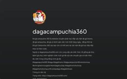 giao diện app đá gà campuchia 360
