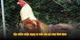 giao diện app da ga choi binh dinh