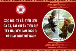 giao diện app đá gà có đi tù không