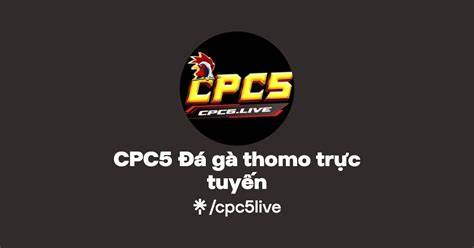 giao diện app đá gà cp5