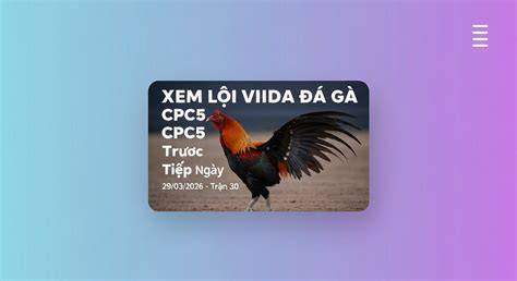 giao diện app đá gà cpc5 trận 29