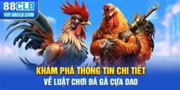 giao diện app đá gà cựa đá gà cựa dao