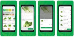 giao diện app đã gà cửa rau trực tiếp philippines