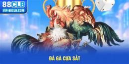 giao diện app da ga cua sat 2015