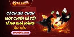 giao diện app đá gà cựa sắt ăn tiền