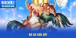 giao diện app da ga cua sat https:gacam999.com