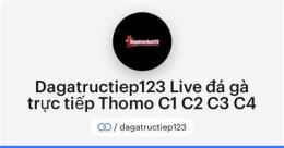 giao diện app đá gà cúp c1 c2 c3 c4