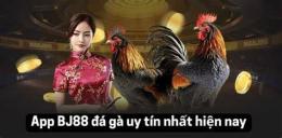 giao diện app đá gà đá gà bj888