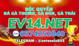 giao diện app da ga don c1 thomo