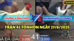 giao diện app đá gà hưng cần thơ vs má minh