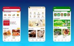 giao diện app đá gà mini