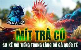 giao diện app đá gà mít trà cú mới nhất