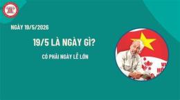 giao diện app đá gà ngày 19 tháng 5 năm 2023