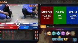 giao diện app đá gà philippines 88