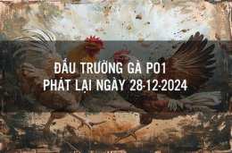 giao diện app đá gà po1